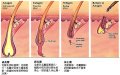 於 2014年1月27日 (一) 14:31 版本的縮圖