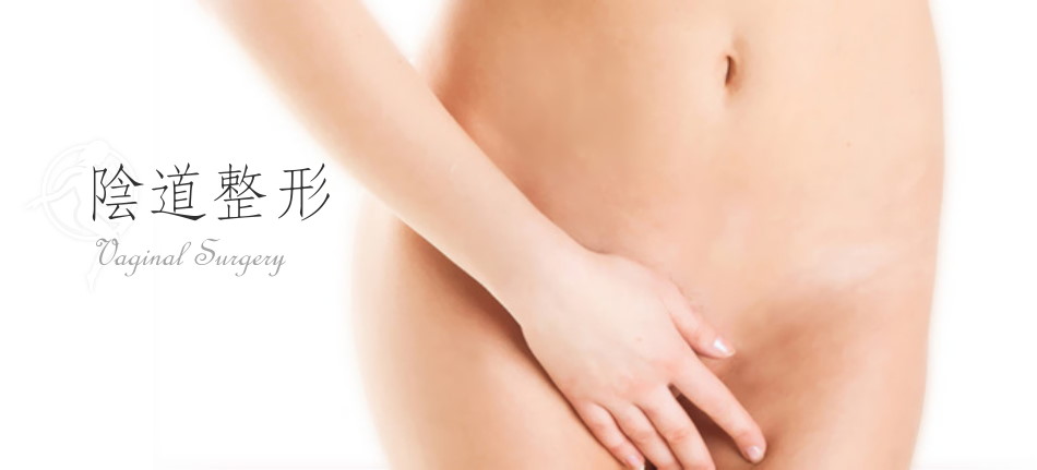 檔案:Surgery-Vaginal Surgery-Cover.jpg