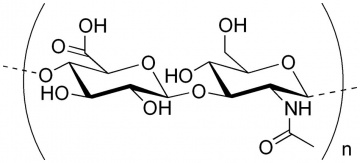 Hyaluronic Acid mocule unit.jpg